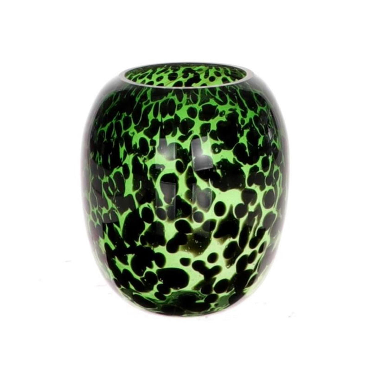 Hbx natürliche lebende Vase Pantherglas ø18xh20,5cm grün
