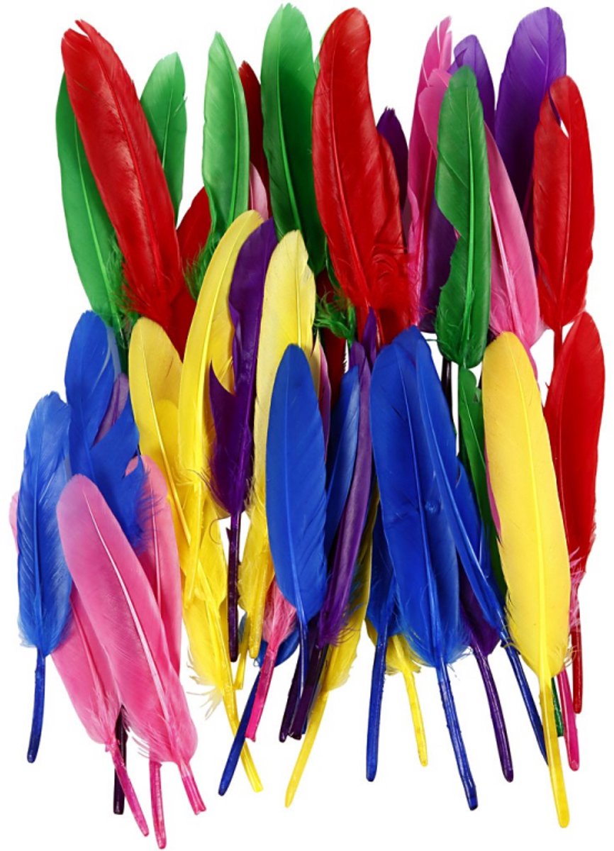 Kreativunternehmen https: www.cchobby.nl federn-l-13-cm-verschiedene-farben-48-stück-1-box