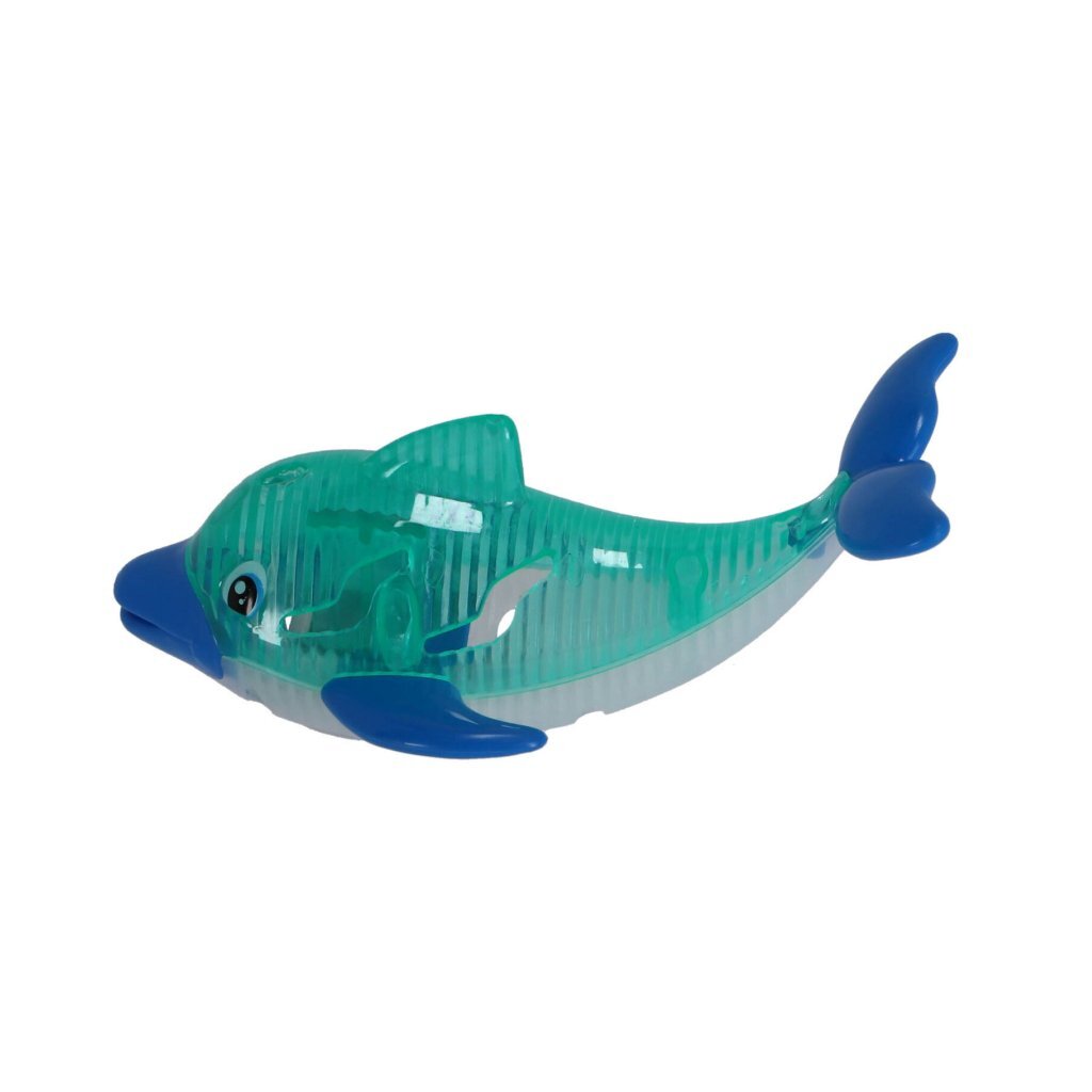 Delphin mit Licht tauchen