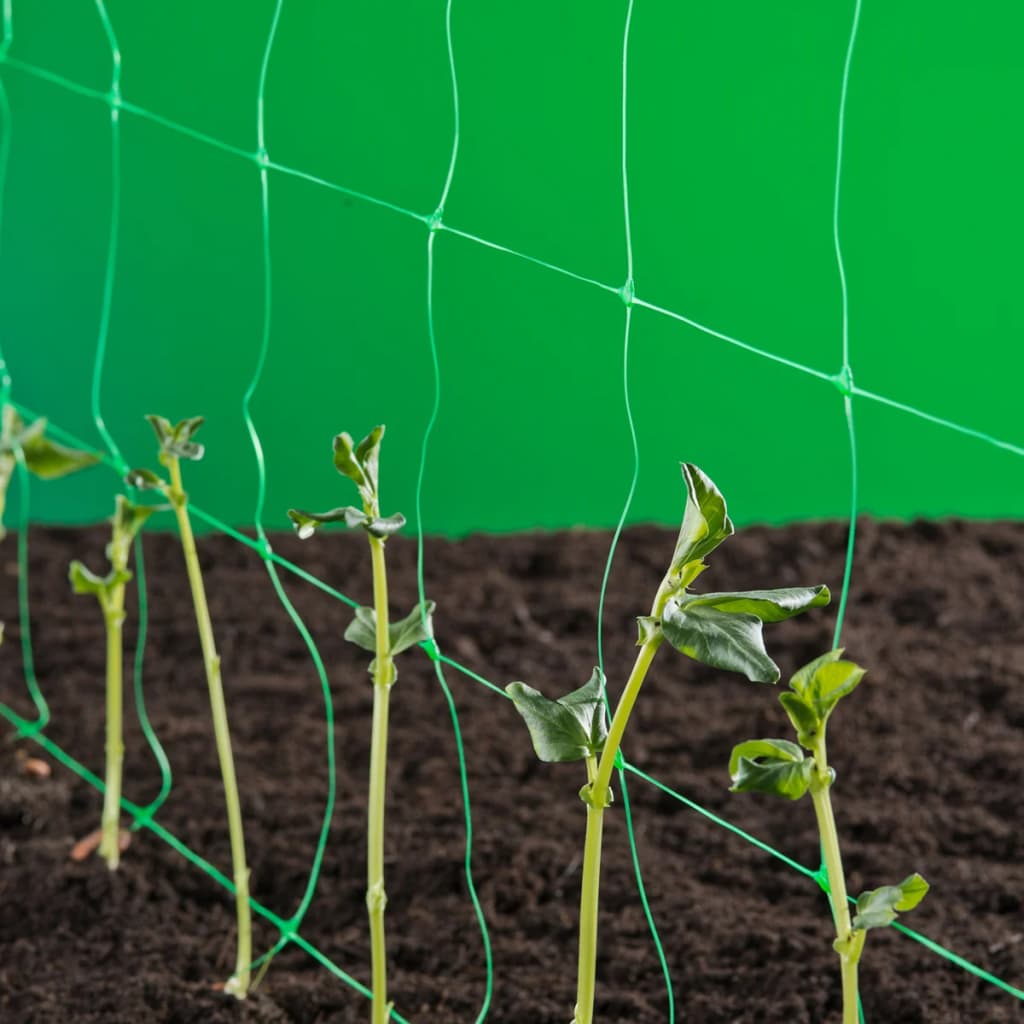 Nature Klimnet für Pflanzen Grün 2x5 M 6030430