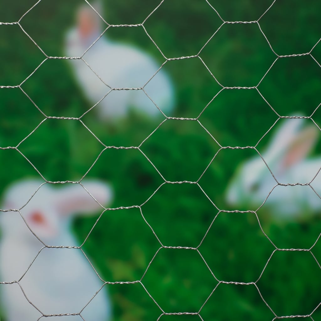 Nature Mesh Hexagonal 0,5 x 10 m 25 mm verzinkter Stahl