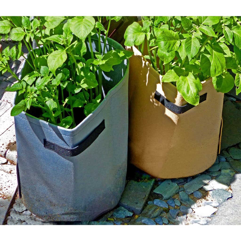 Naturkartoffelkultur -Tasche 37 l Anthrazit -gelöscht