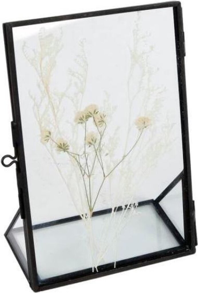 Van Manen Van Manen Fotorahmen Trockenblumen 11 x 16 cm Stahlglas Schwarz