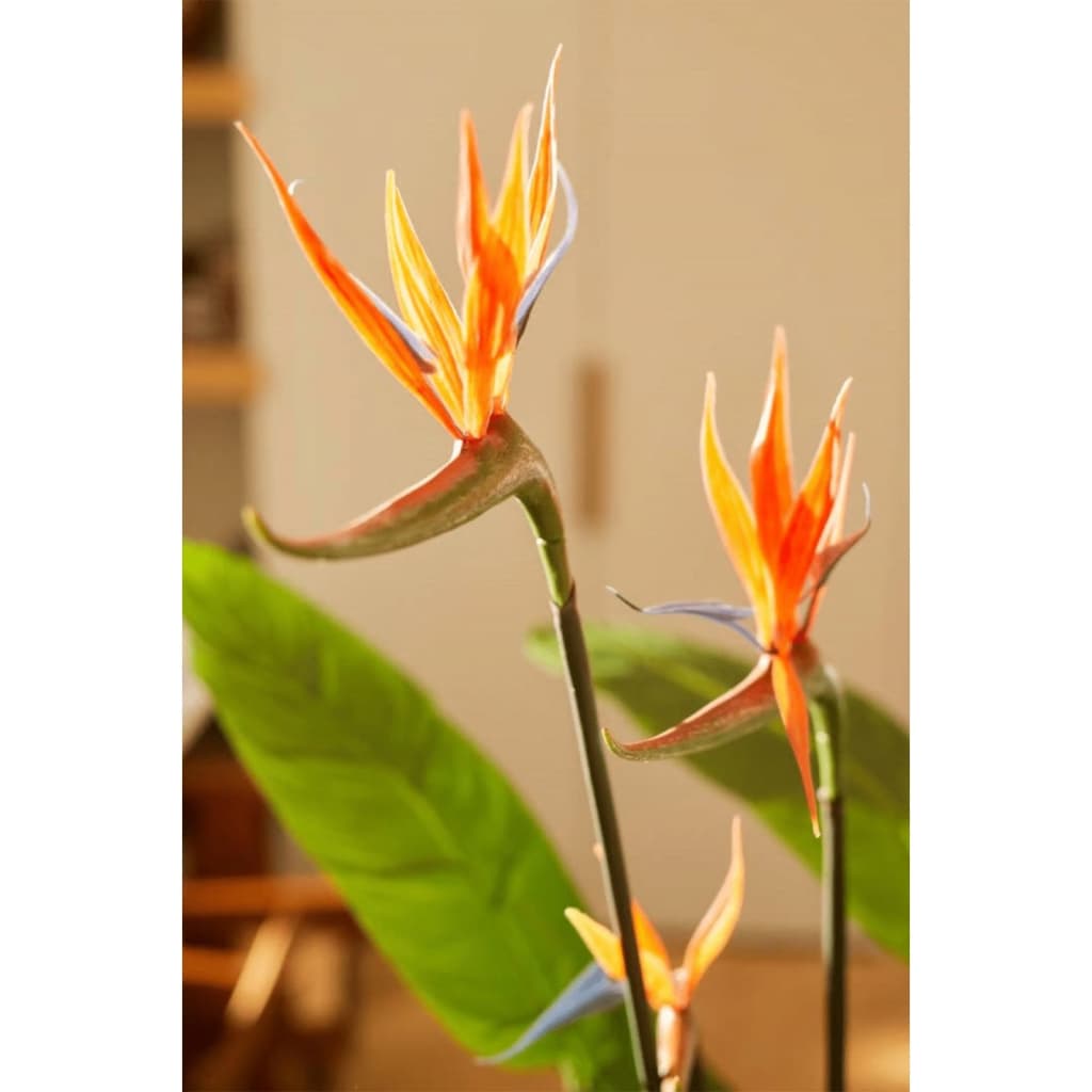 Smaragdkunstpflanze mit Topf und Blumen Strelitzia 120 cm