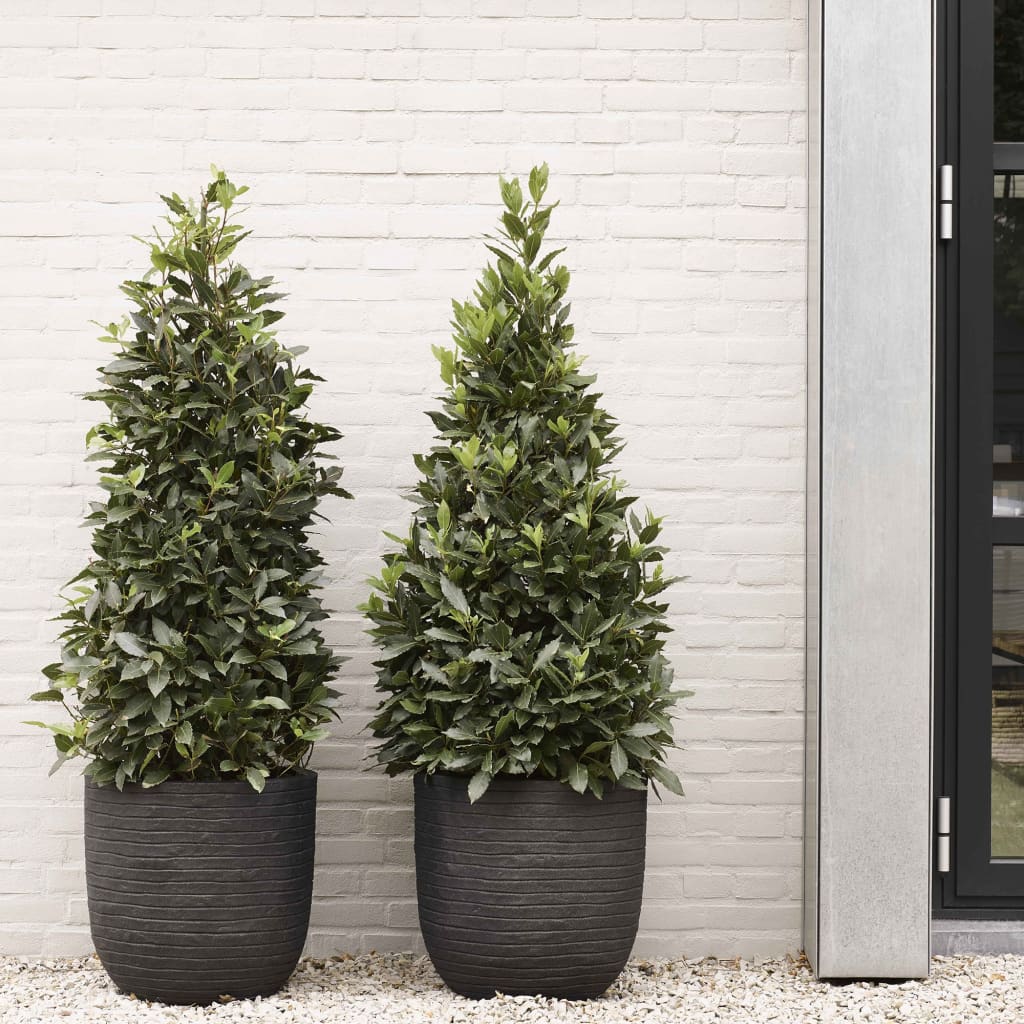 Capi Capi Flowerpot Nature Row 43x41 cm Schwarz KBLRO933