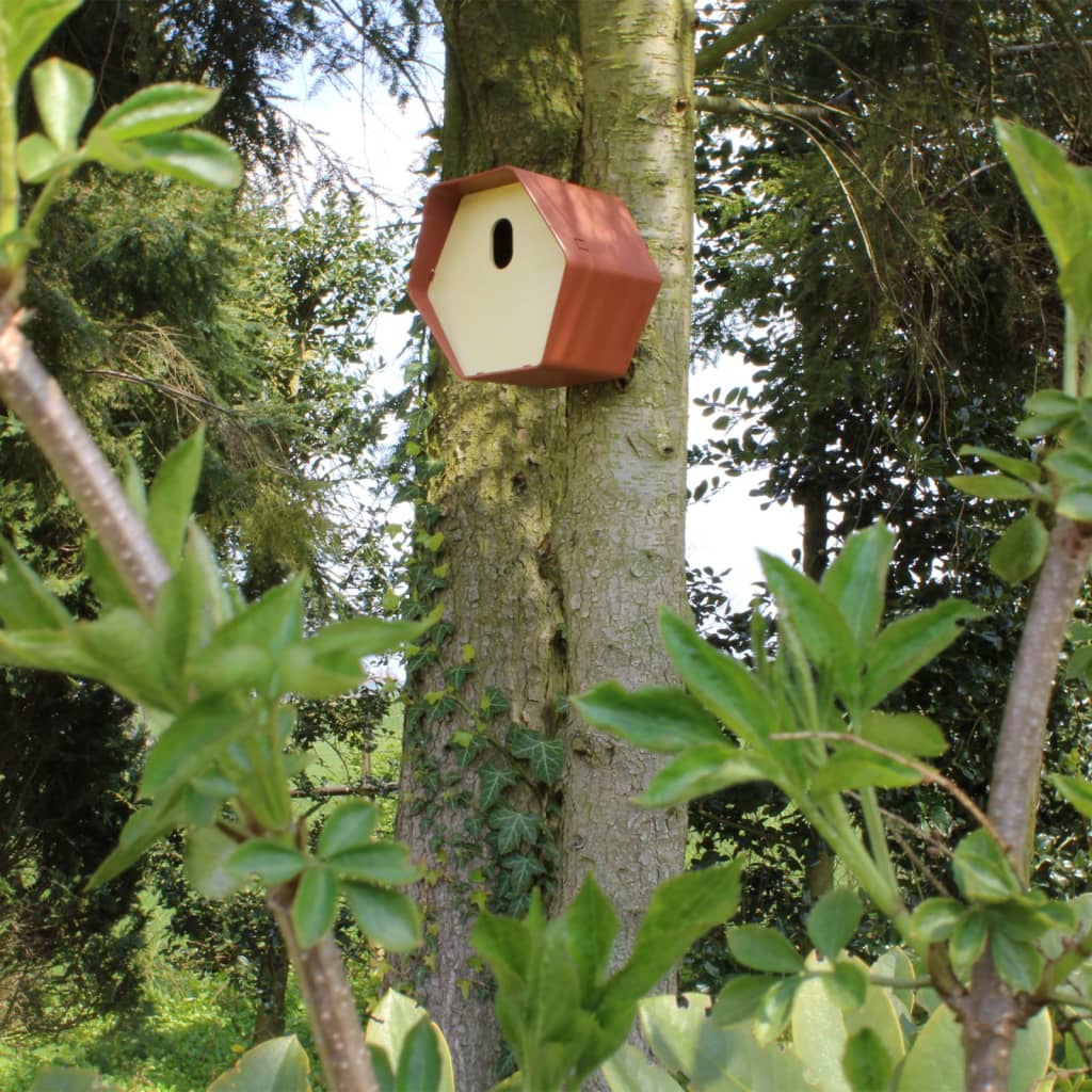 Capi Vogelhuisje Hive 2 Ovales Loch 19x23x20 cm Braun