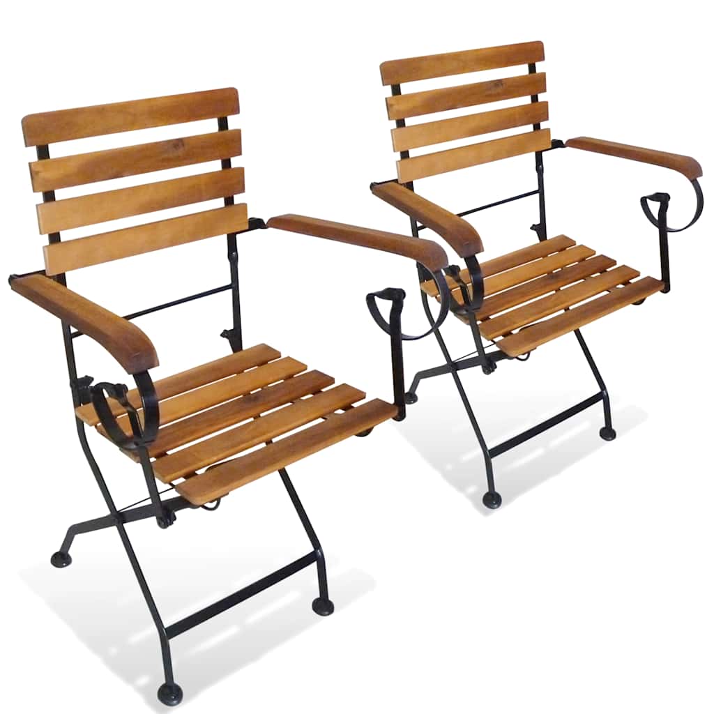 Vidaxl tuinstoelen inklapbaar 2 st staal en massief acaciahout