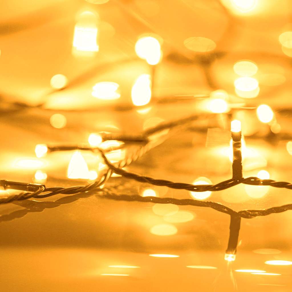 Vidaxl Lichtkabel mit 1000 LEDs mit 8 leichten Effekten IP44 100 m warmes Weiß