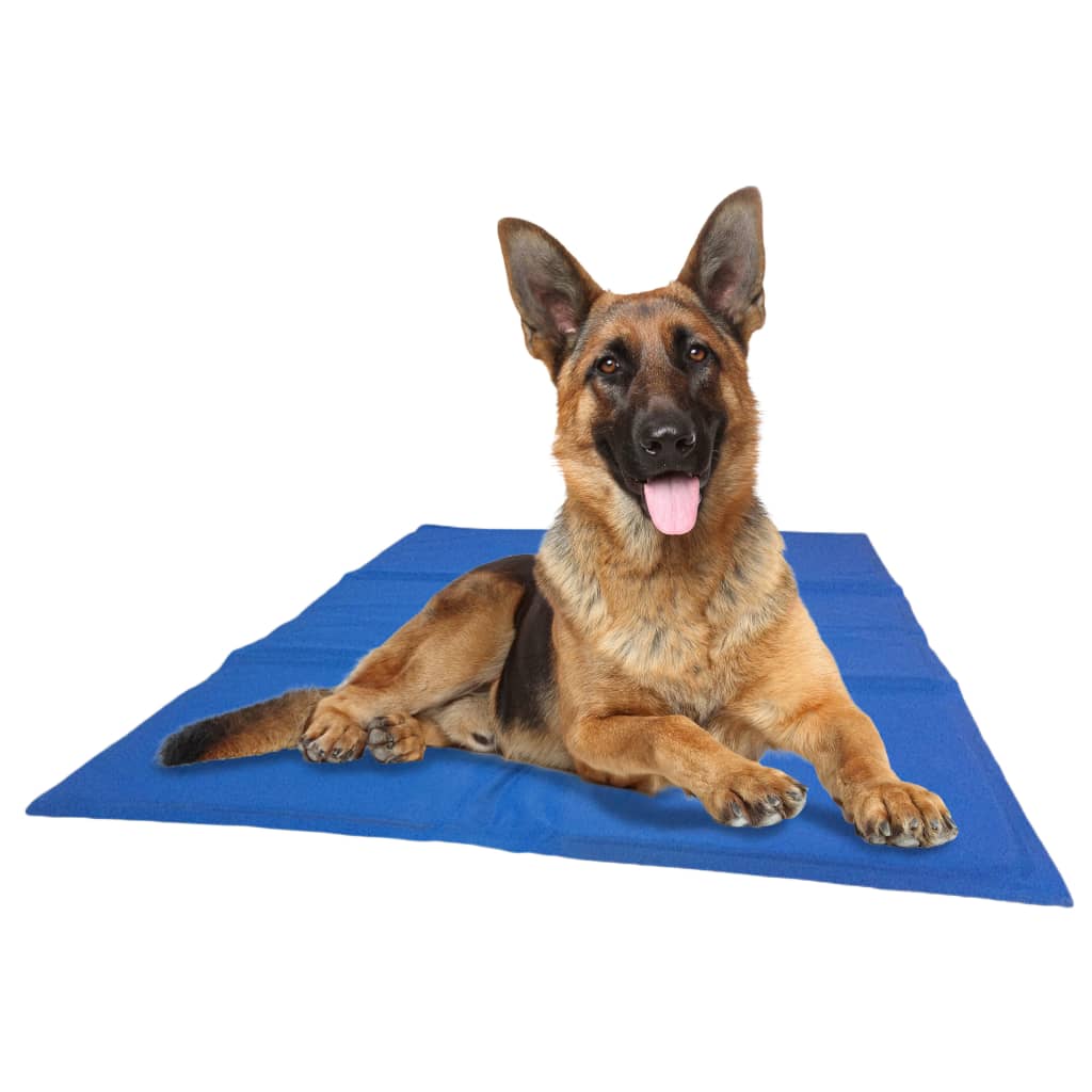 @pet Hundekühlmatte L 50x90 cm blau