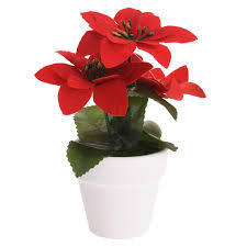 Andere Marken Weihnachtspflanze roter Topf aus Keramik