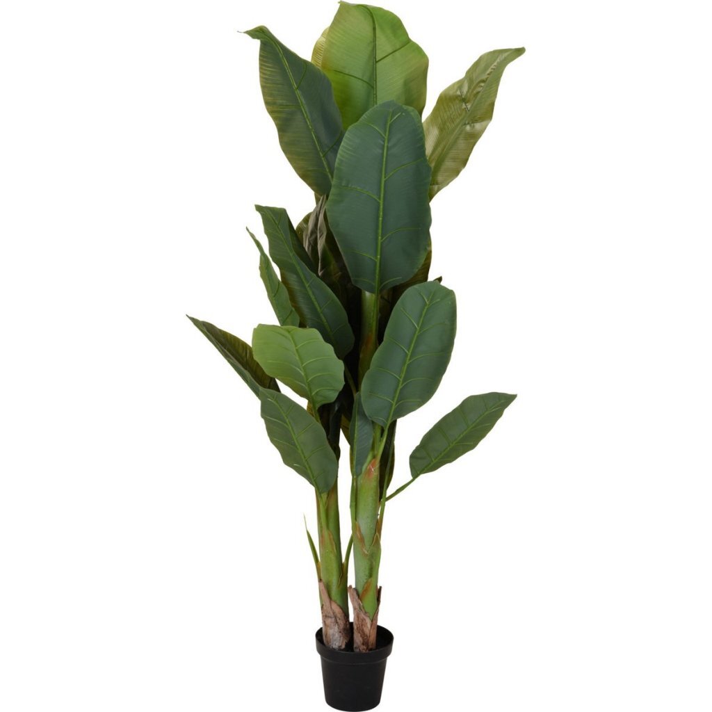 Overige merken kunstplant bananenboom 80x165 cm groen