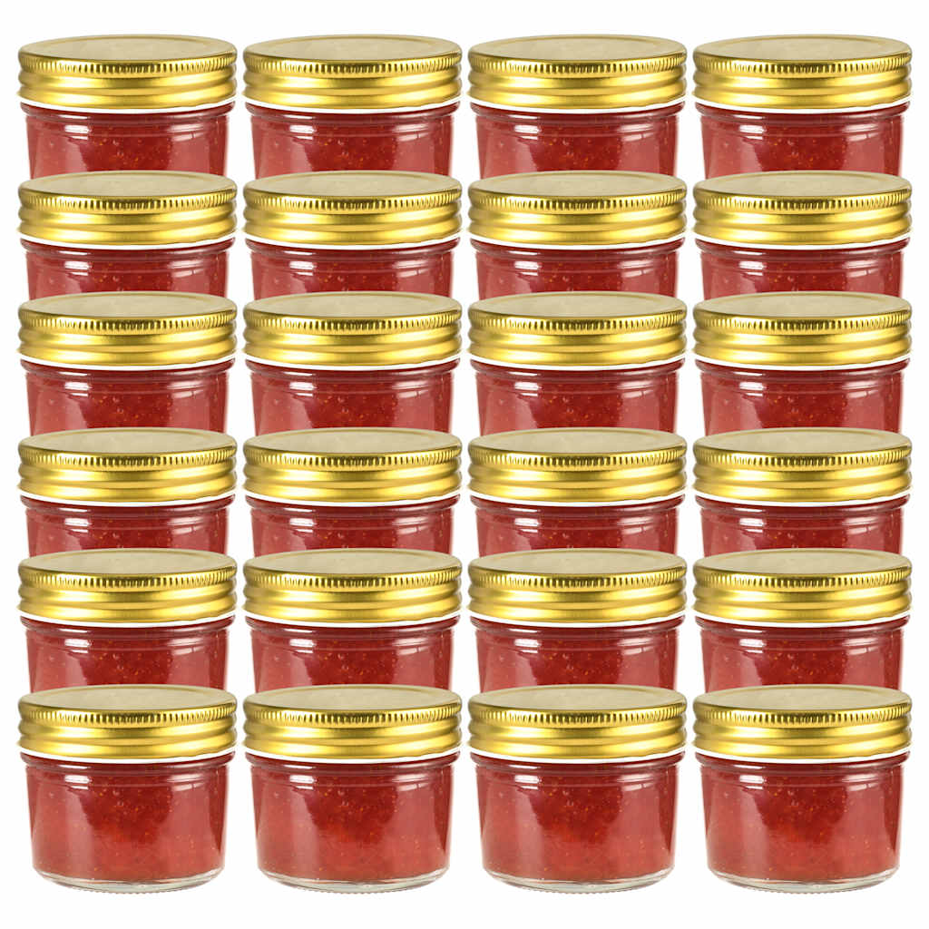 Vidaxxl Marmeladengläser mit goldfarbenem Deckel 24 Stück 110 ml Glas