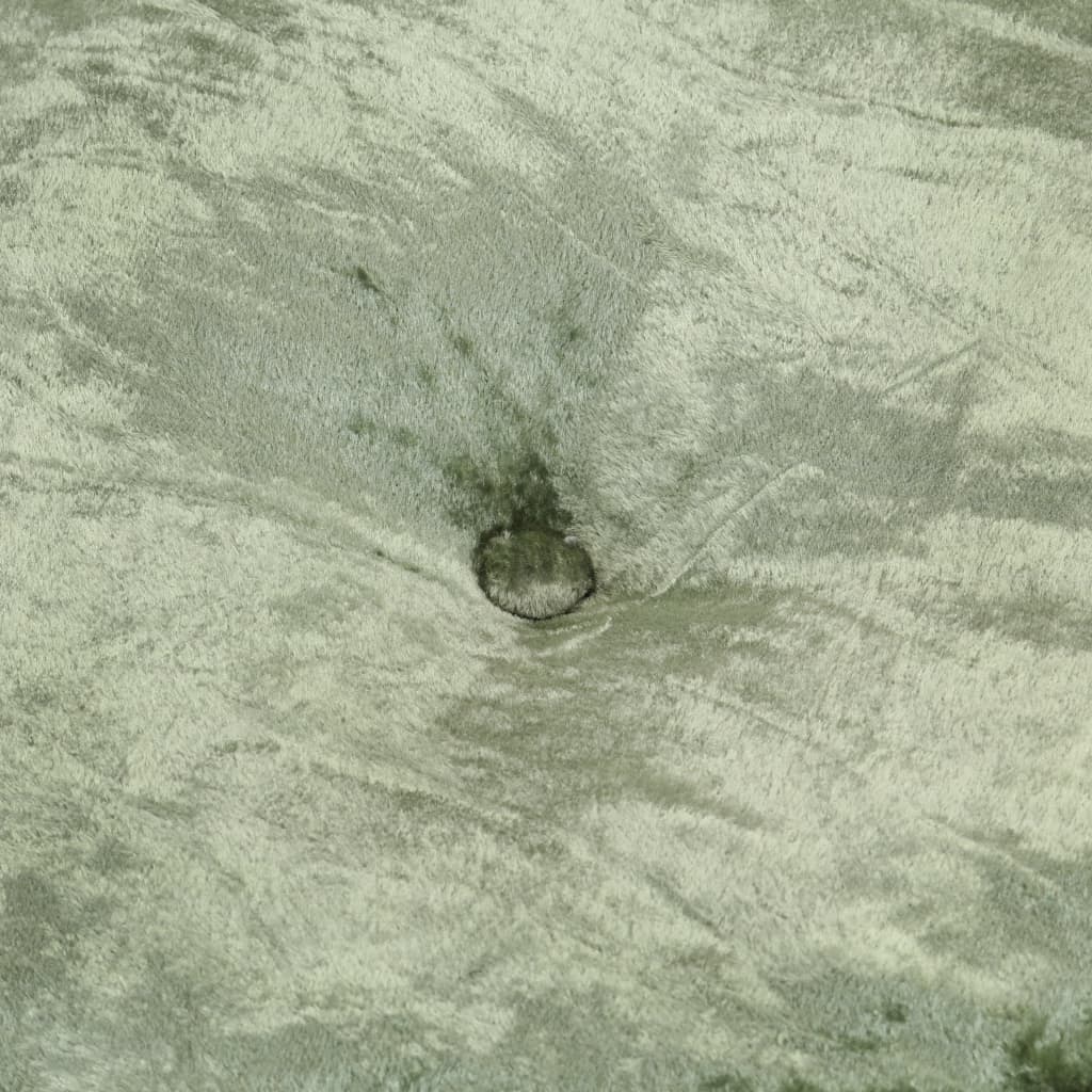 Vidaxl poef rond 40x20 cm fluweel groen