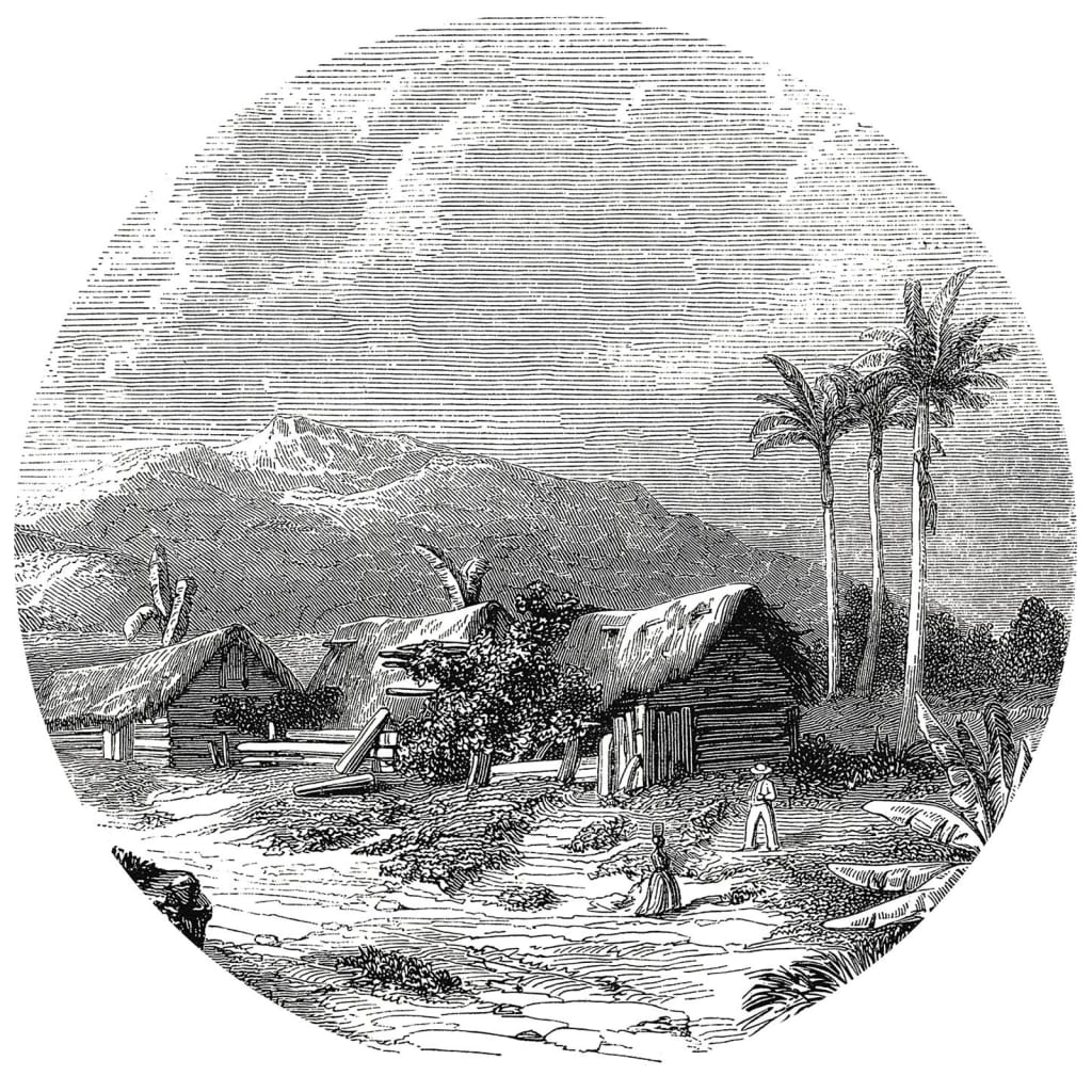 Wallart Wallow Circle Landschaft von Guadeloupe 190 cm