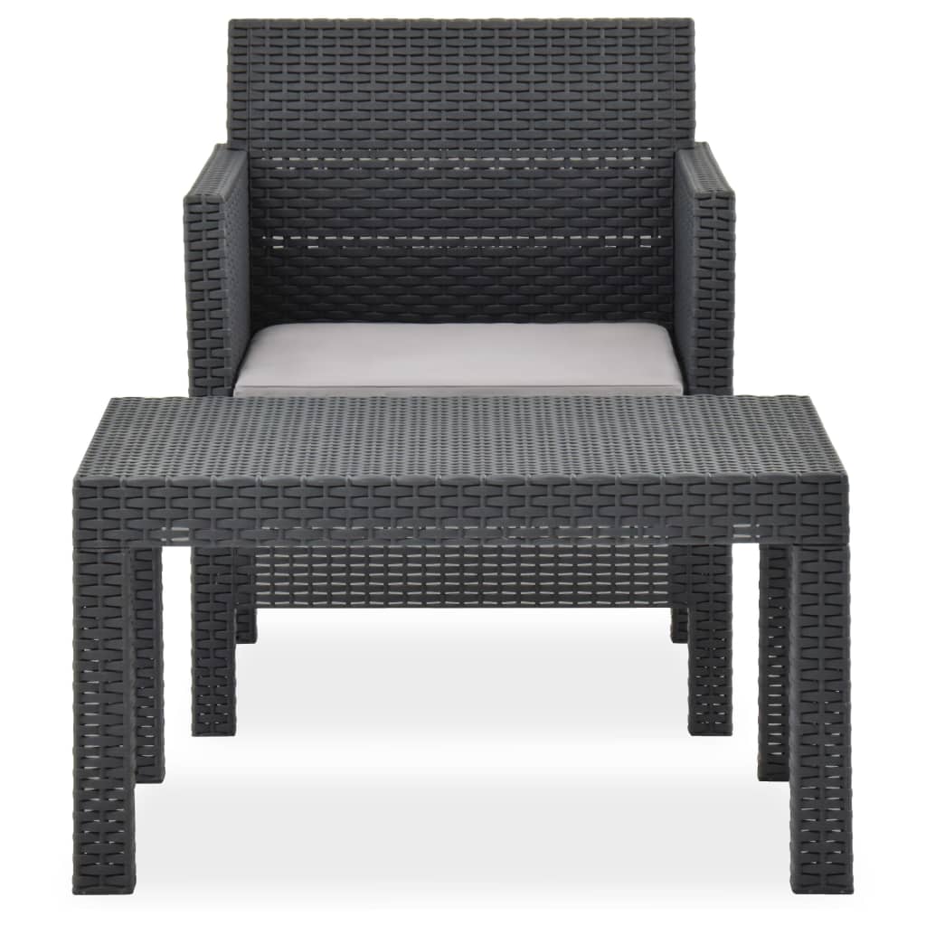 Vidaxl 2-delige loungeset met kussen pp rattan antracietkleurig