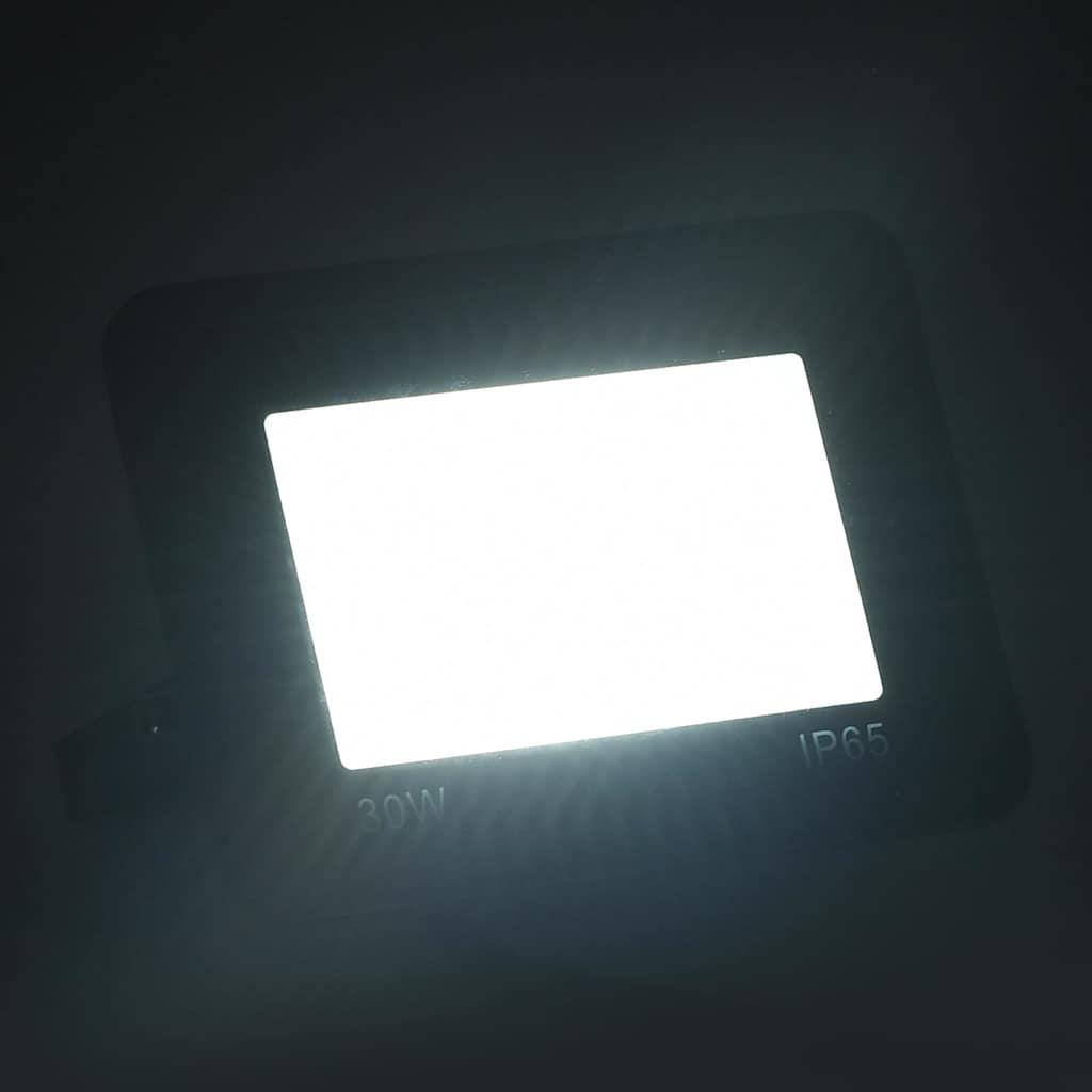 Vidaxl Spotlight LED 30 W Kalt weiß