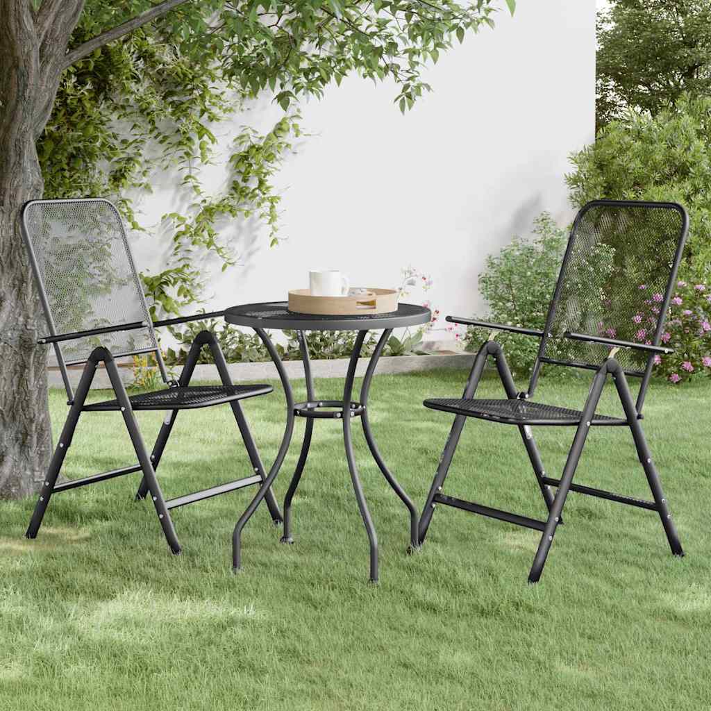 Vidaxl tuinstoelen inklapbaar 2 st metaalgaas antracietkleurig