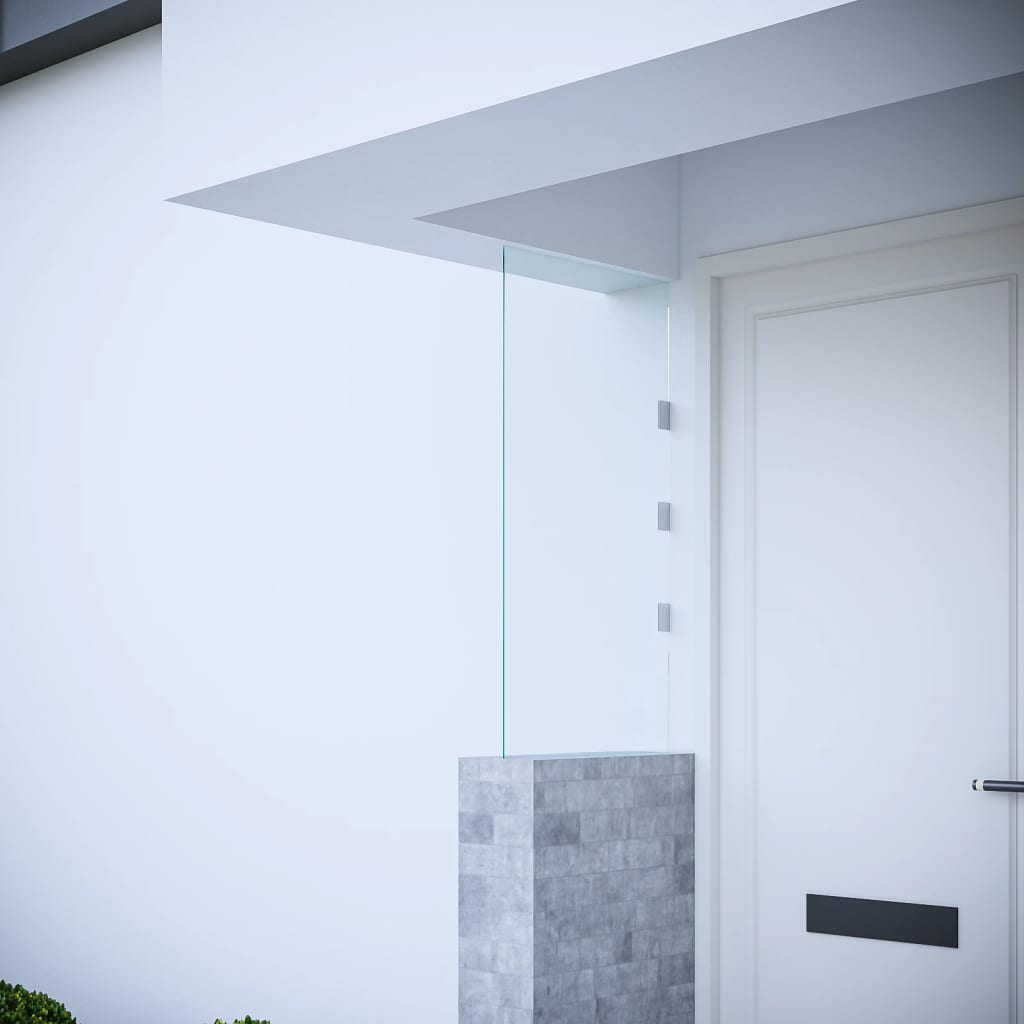 VIDAXL -Seitenplatte für Tür -Baldachin 50x100 cm gehärtetes Glas transparent