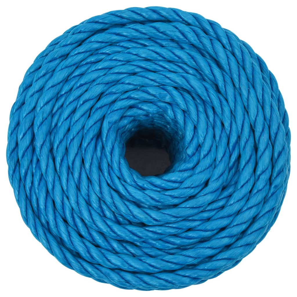 Vidaxx Arbeitsseil 12 mm 50 m Polypropylen blau