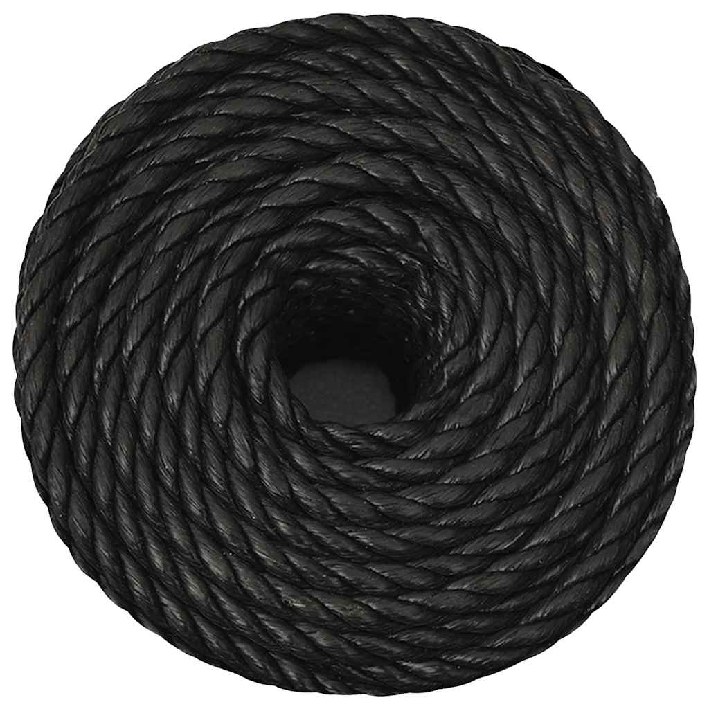 Vidaxx Arbeitsseil 10 mm 50 m Polypropylen schwarz