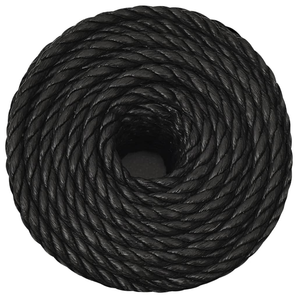 Vidaxx Arbeitsseil 10 mm 250 m Polypropylen schwarz