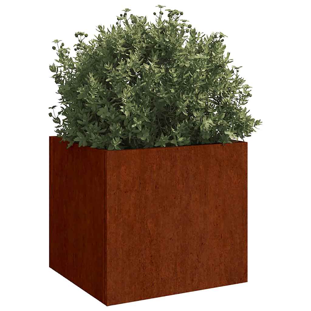 VIDAXL -Planungsbox 49x47x46 cm cortenstaal