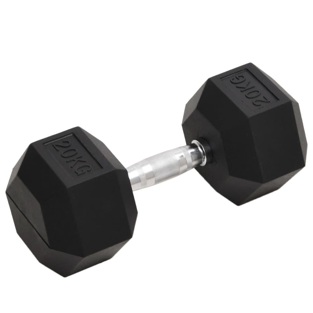 Vidaxl Halter 20 kg Gusseisen