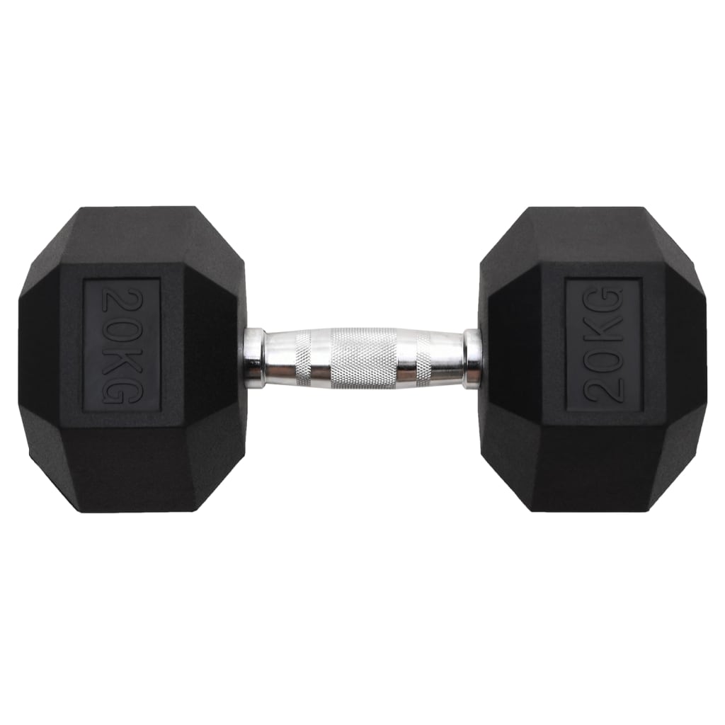 Vidaxl Halter 20 kg Gusseisen