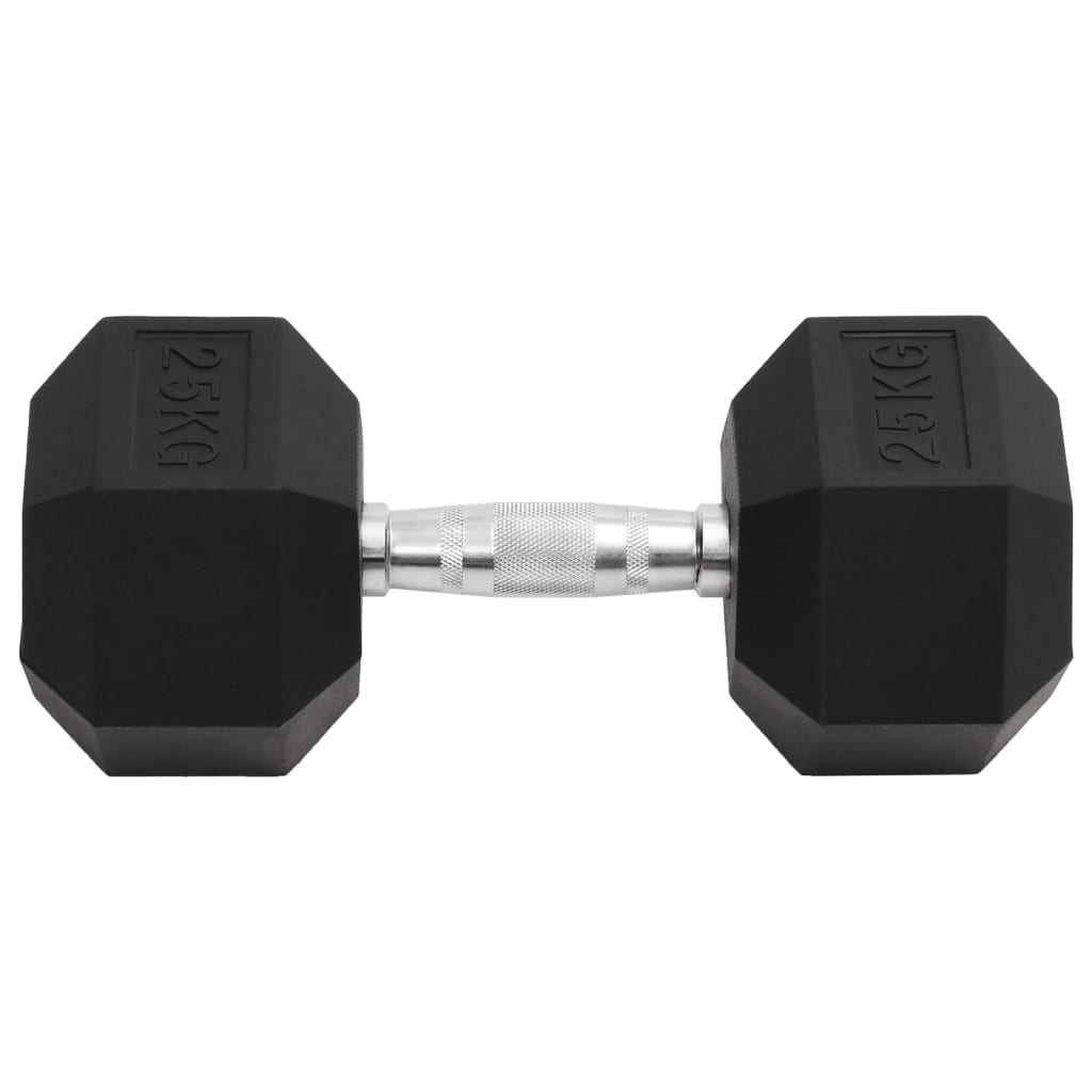 Vidaxl Halter 25 kg Gusseisen