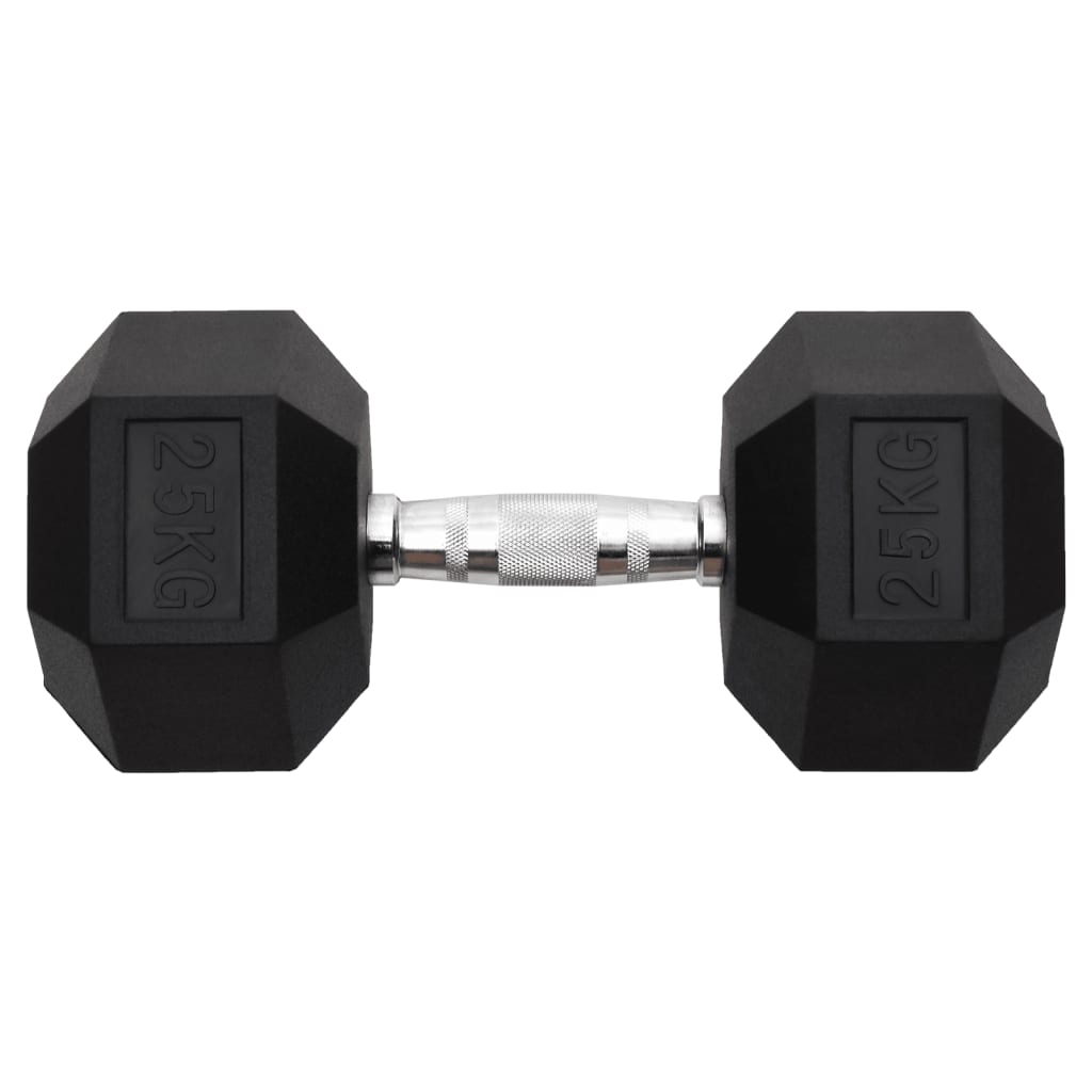 Vidaxl Halter 25 kg Gusseisen