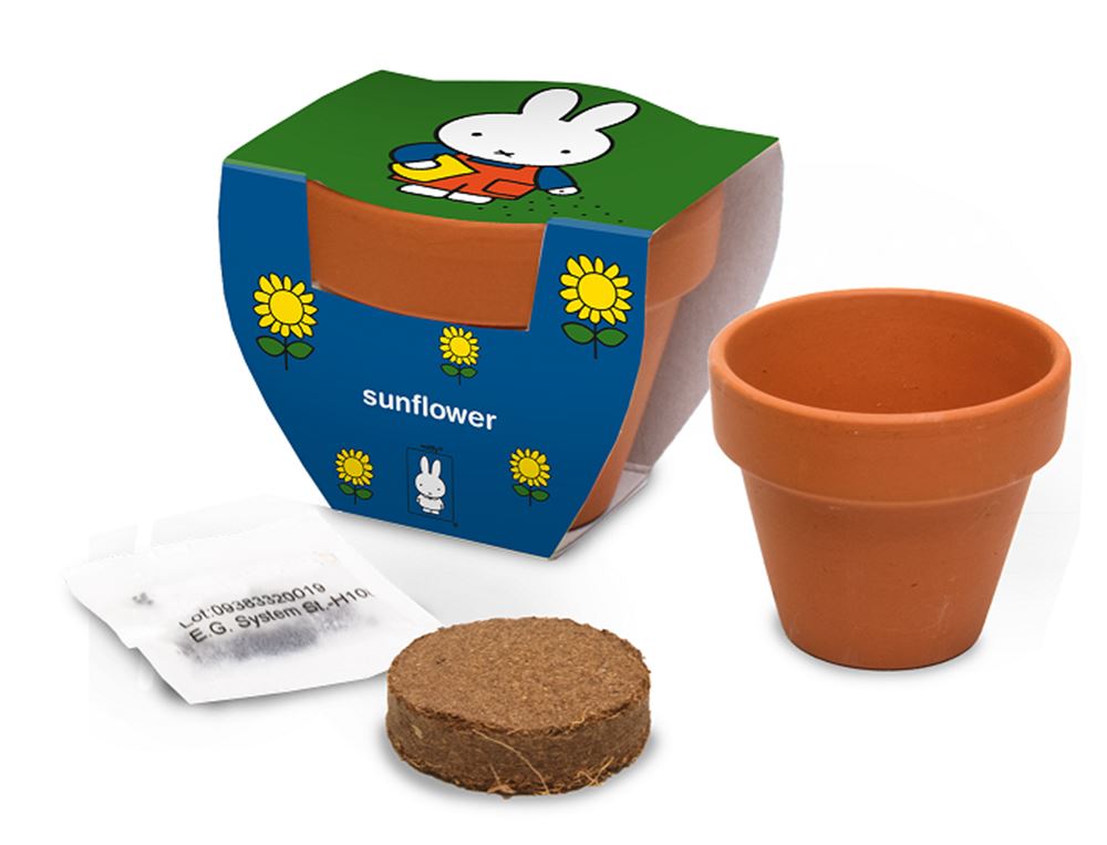 Nijntje terracota pot zonnebloem.