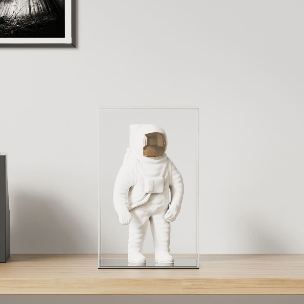 VidaXL Vitrine transparent 22x18x35 cm Acryl
