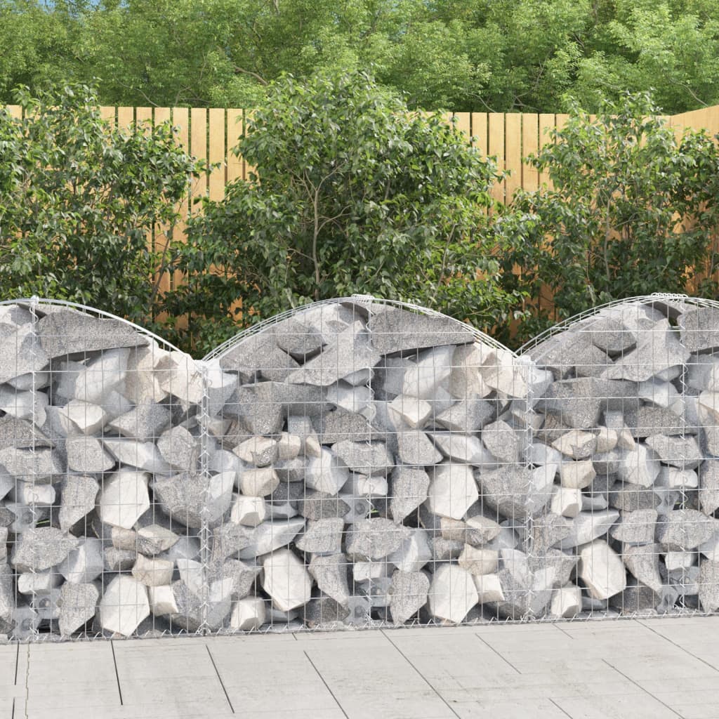 Vidaxx Gabione gewölbt 100x30x80 100 cm verzinktes Eisen