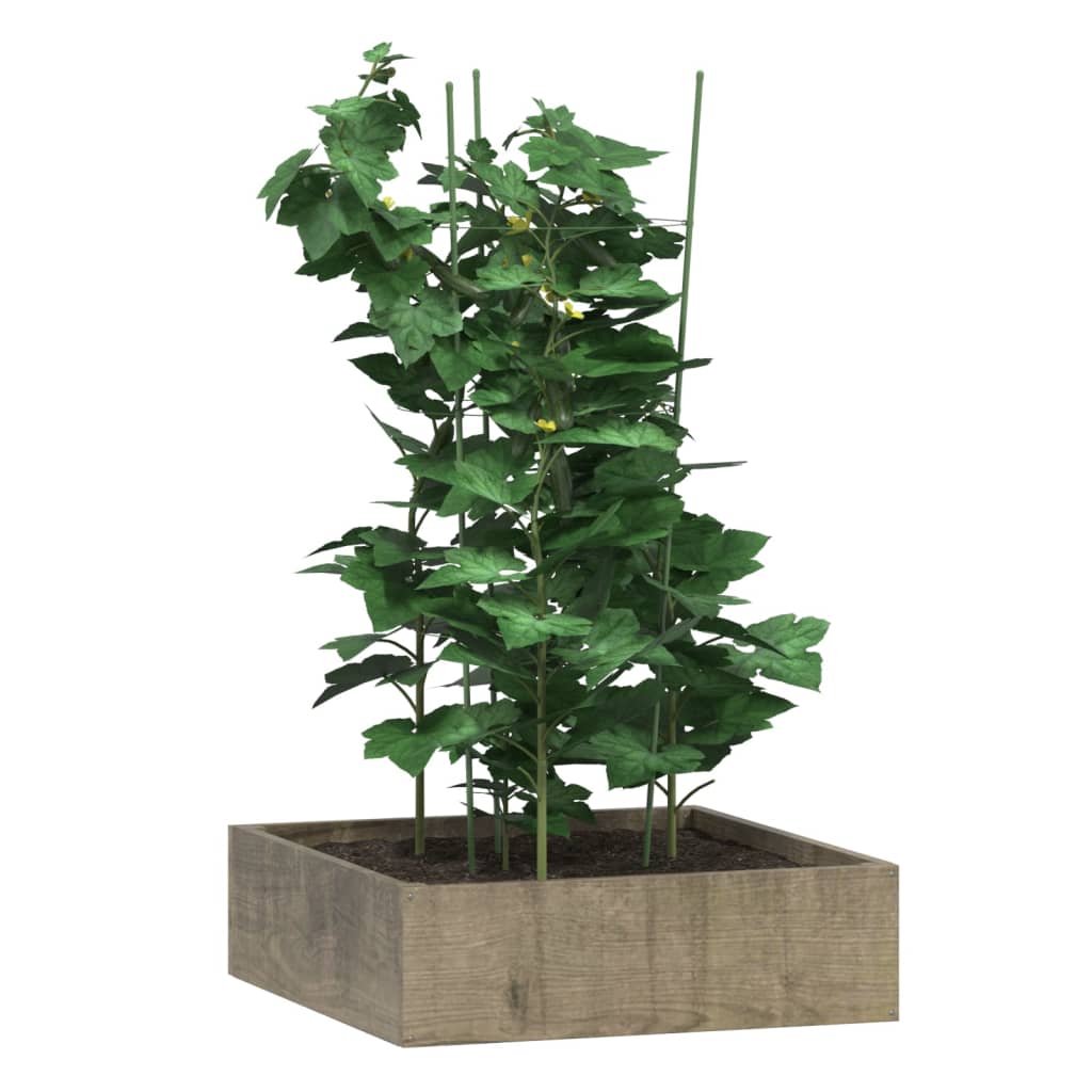 VidaXL Pflanzenstützen 5 Stück mit 3 Ringen 75 cm Stahl grün