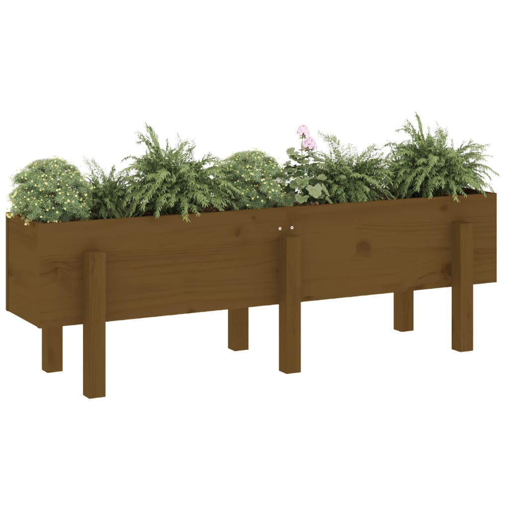 VidaXL Pflanzgefäß erhöht 121x30x38 cm massives Kiefernholz honigbraun