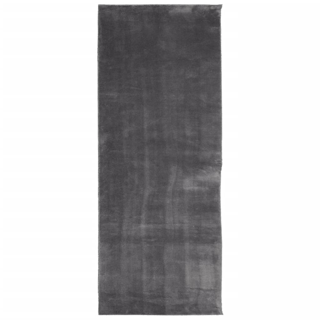 VidaXL Teppich Huarte Kurzflor weich waschbar 80x200 cm Anthrazit