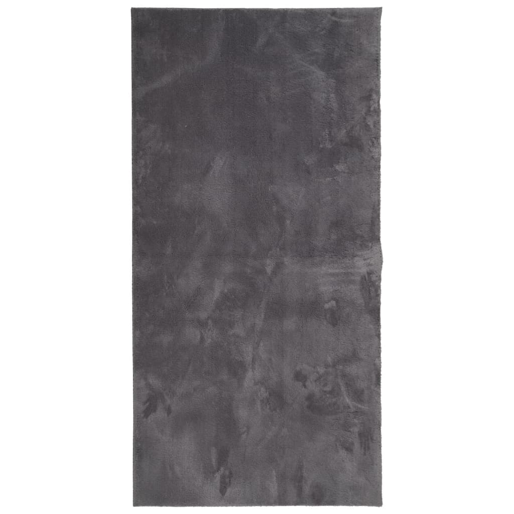 VidaXL Teppich Huarte Kurzflor weich waschbar 100x200 cm Anthrazit