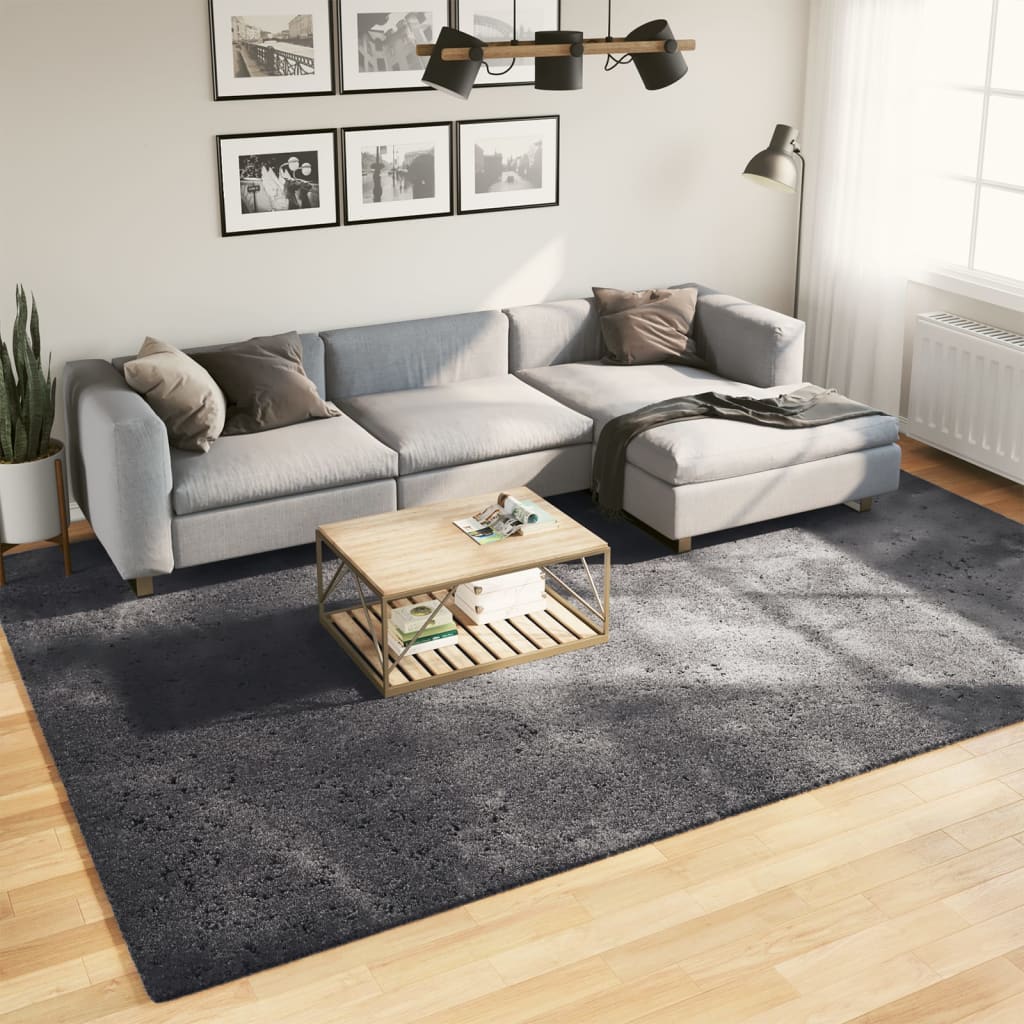VidaXL Teppich Huarte Kurzflor weich waschbar 240x340 cm Anthrazit