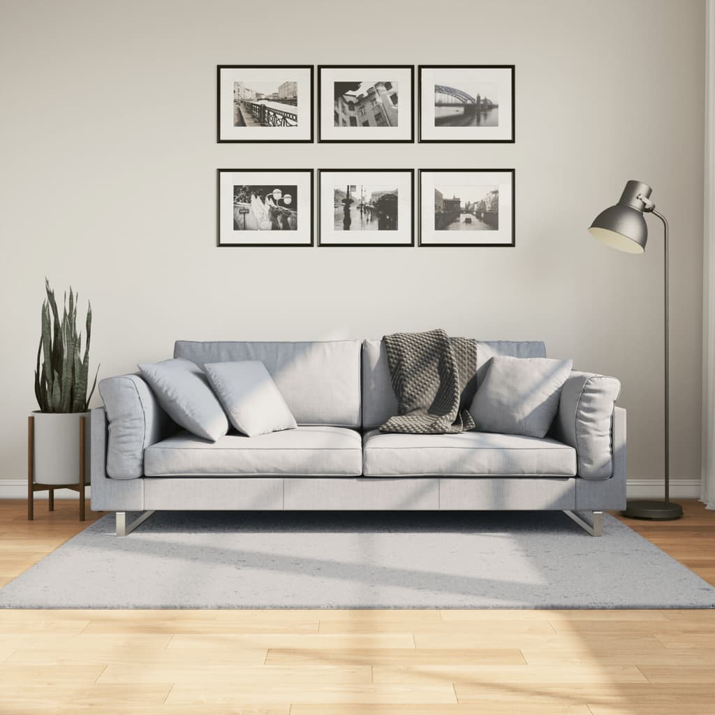 Vidaxx Teppich Huarte Kurzflor weich waschbar 120x170 cm grau