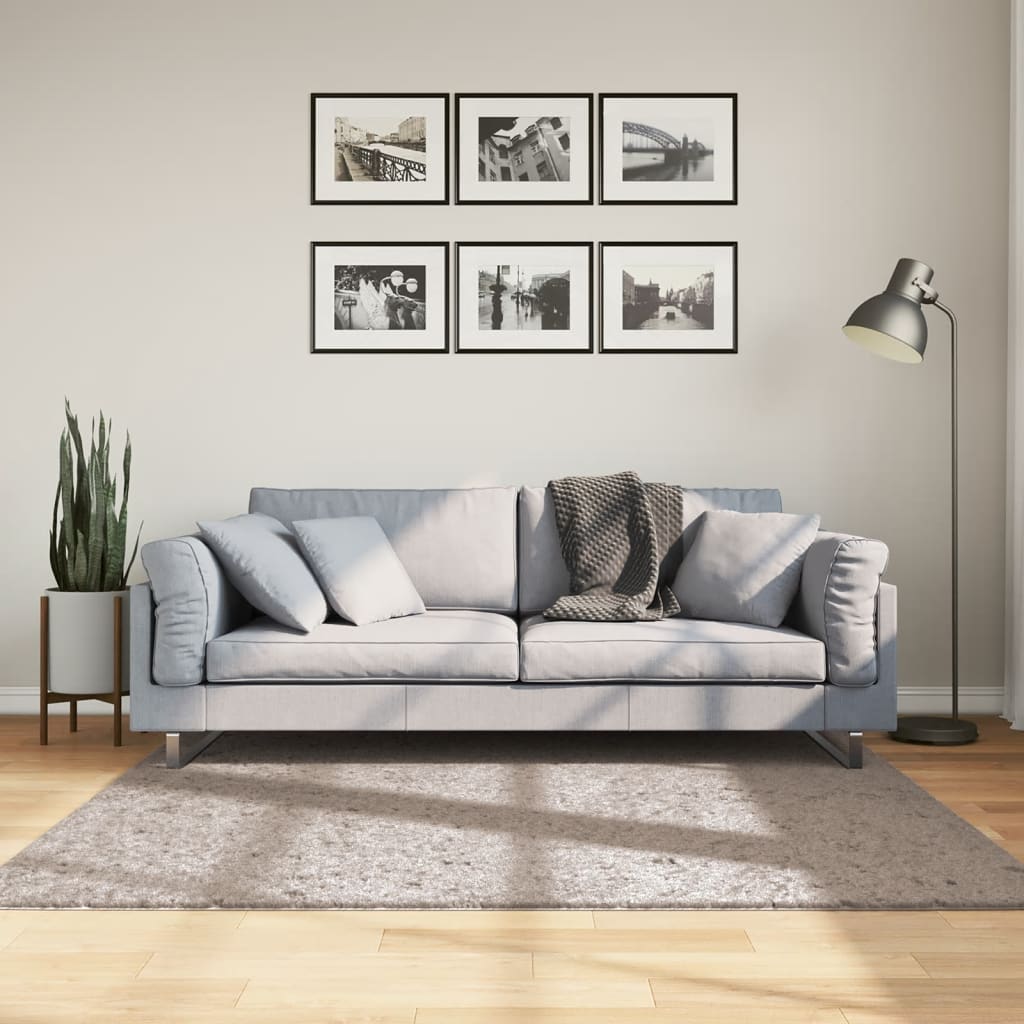 VidaXL Teppich Pamplona Shaggy Hochflor Modern 160x160 cm Beige