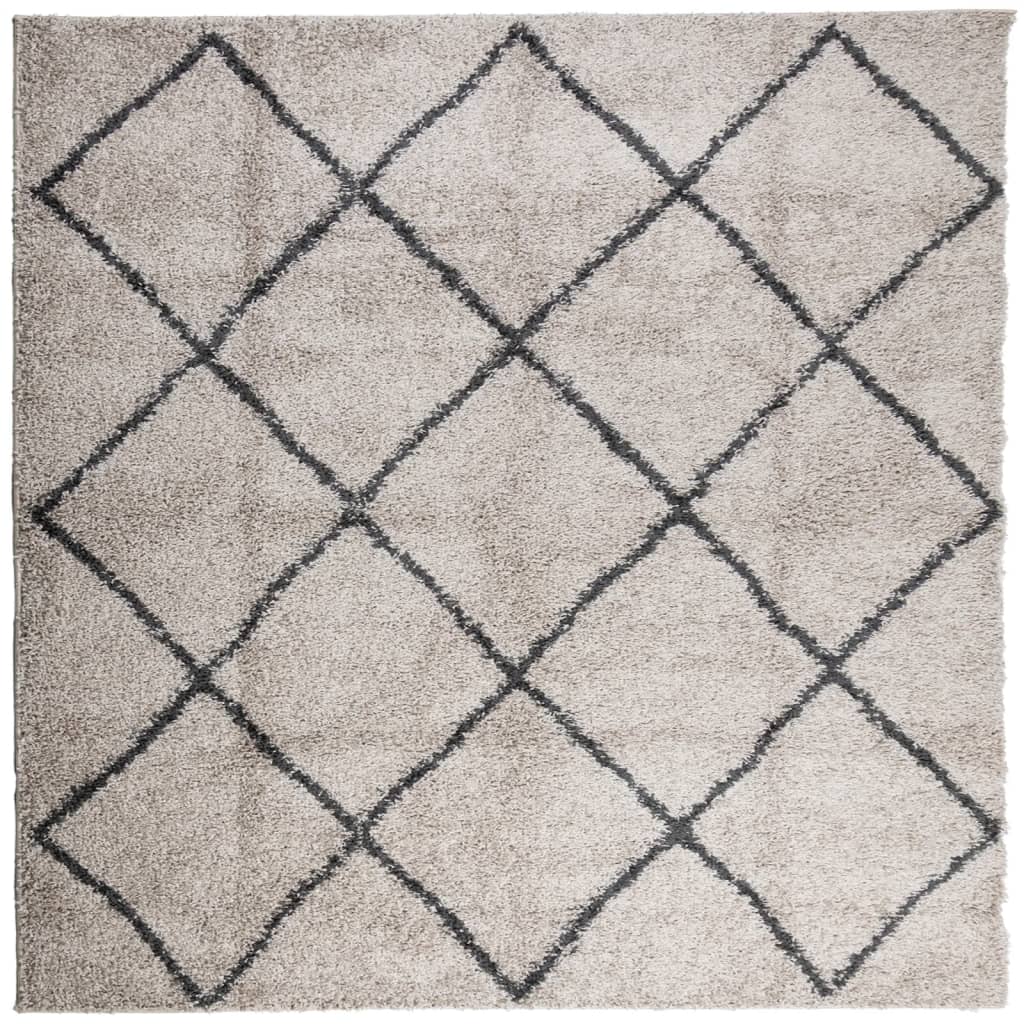 VidaXL Teppich PAMPLONA Shaggy Hochflor 200x200 cm Beige Anthrazit