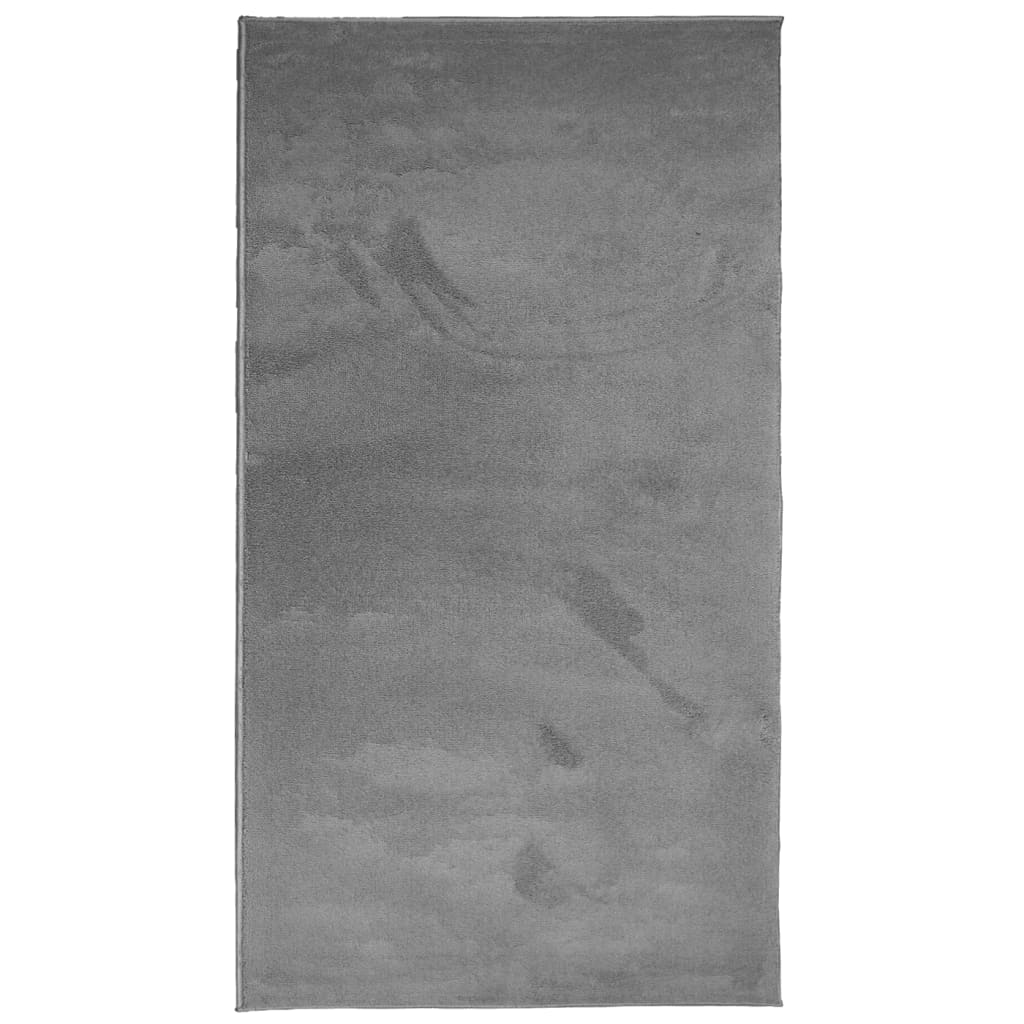 Vidaxx Teppich Oviedo Niederflor 80x150 cm Anthrazit