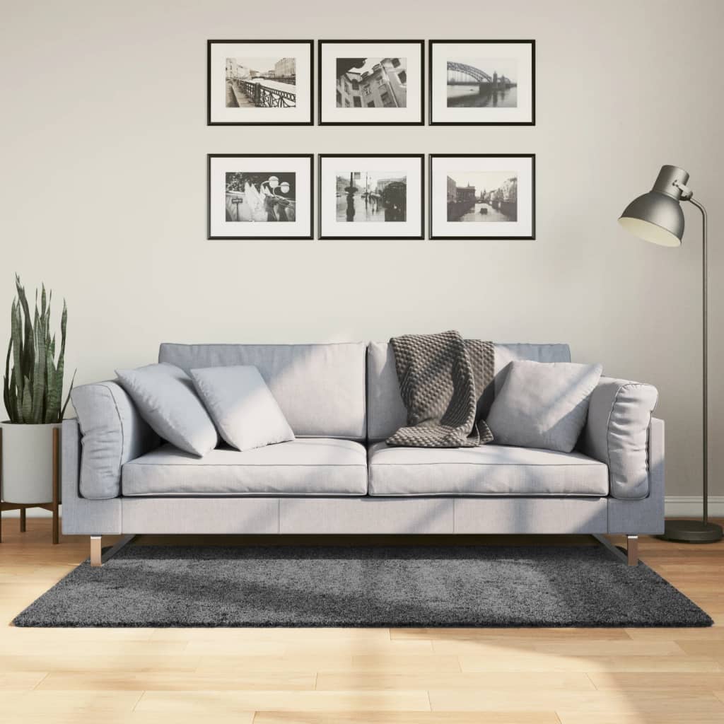 Vidaxx Teppich Oviedo Niederflor 80x150 cm Anthrazit