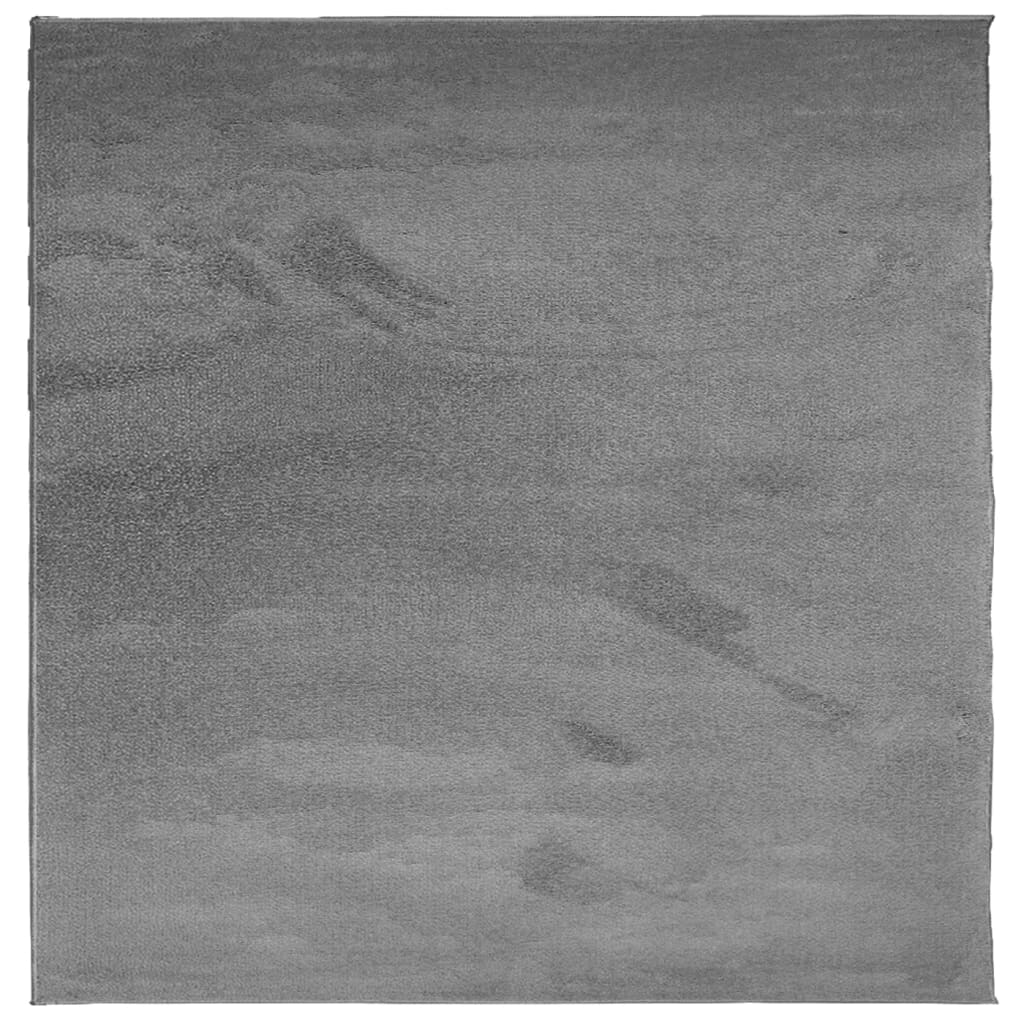VidaXL Teppich OVIEDO Niederflor 160x160 cm Anthrazit