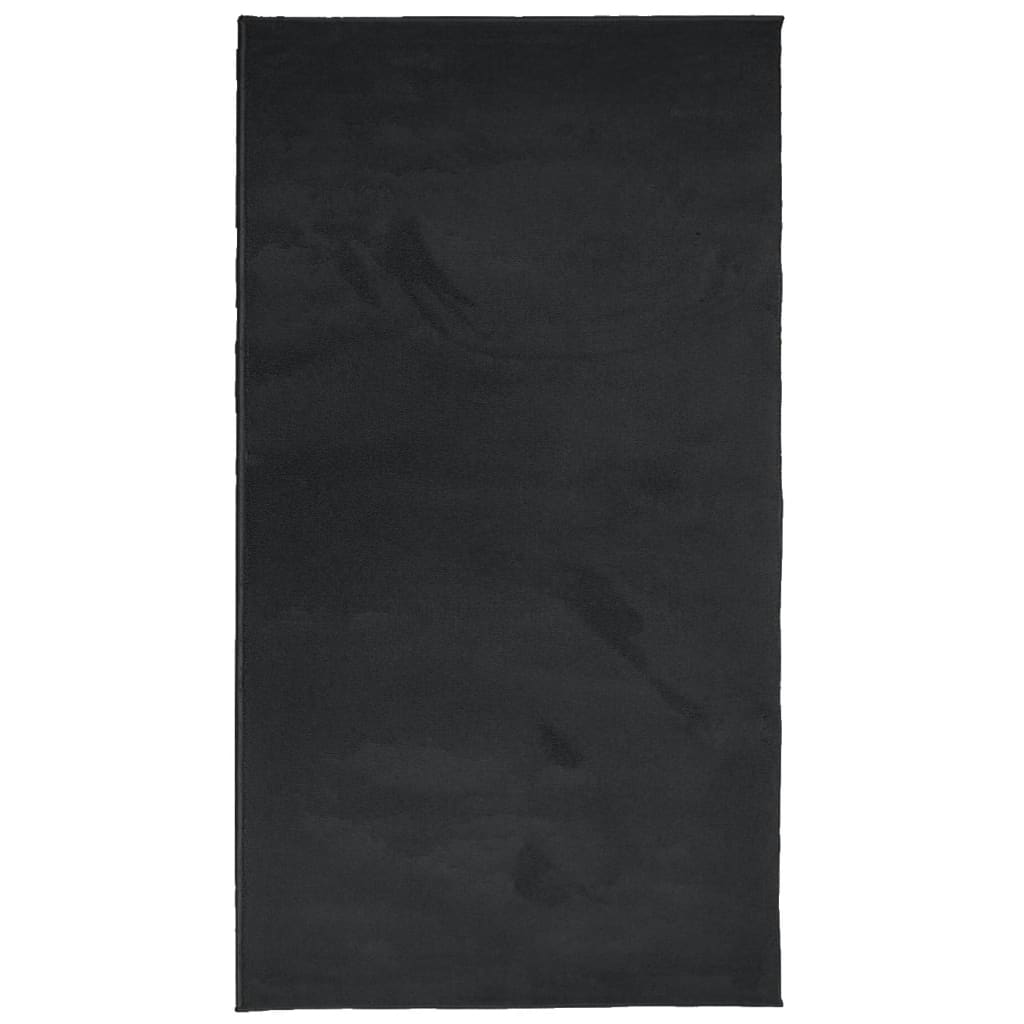 Vidaxx Teppich Oviedo Niederflor 80x150 cm schwarz