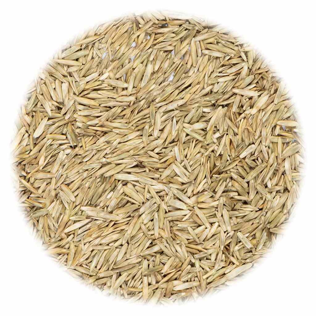 VidaXL Grassamen 15 kg