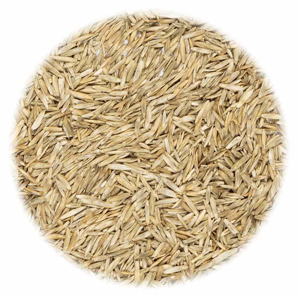 VidaXL Grassamen 20 kg