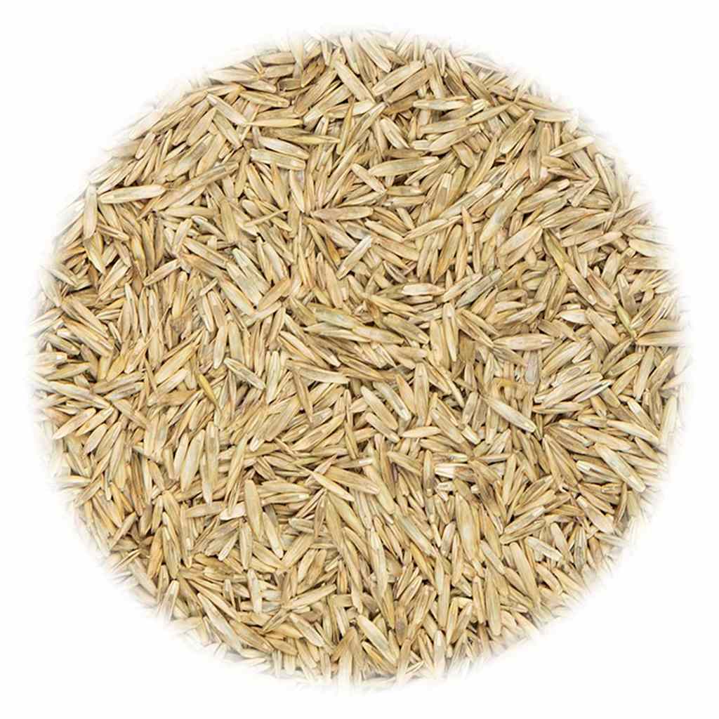 VidaXL Grassamen für Sport und Spiel 5 kg