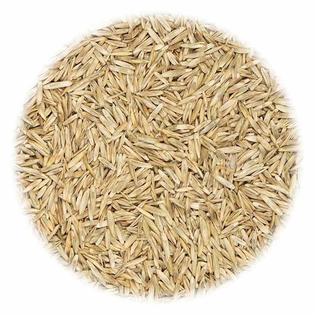 VidaXL Grassamen für Sport und Spiel 10 kg