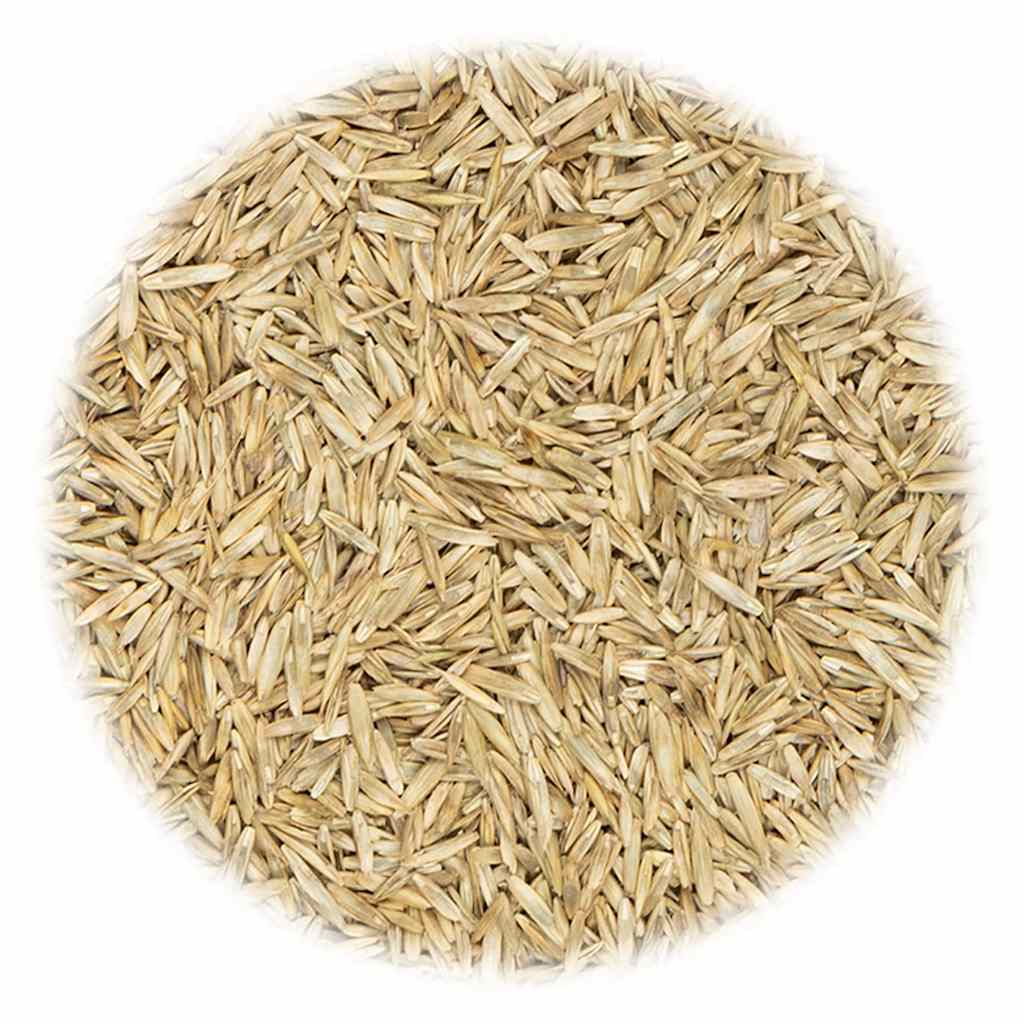 VidaXL Grassamen für Sport und Spiel 20 kg